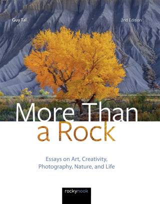 Imagen de portada: More Than a Rock, 2nd Edition 9781681986838