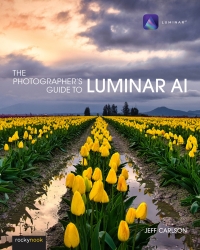 Omslagafbeelding: The Photographer's Guide to Luminar AI 9781681987873