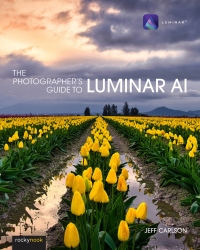 صورة الغلاف: The Photographer's Guide to Luminar AI 9781681987873