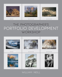 Immagine di copertina: The Photographer's Portfolio Development Workshop 9781681988238
