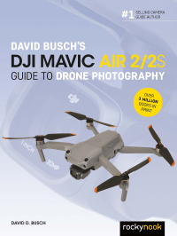Immagine di copertina: David Busch's DJI Mavic Air 2/2S Guide to Drone Photography 9781681989457