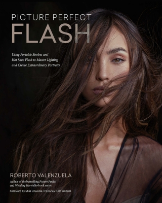 Omslagafbeelding: Picture Perfect Flash 9781681989730
