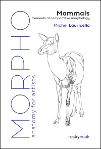 Cover image: Morpho: Mammals 9781681989976