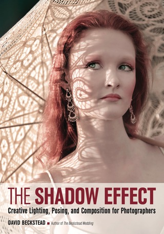 Imagen de portada: The Shadow Effect 9781682031087