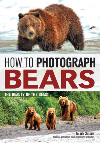 Imagen de portada: How to Photograph Bears 9781682031209