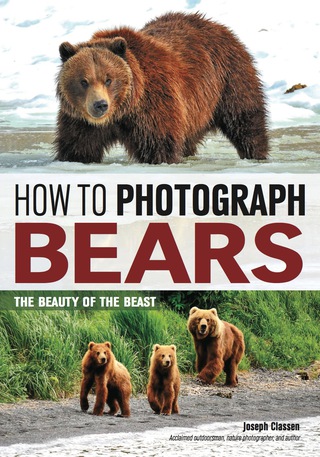 Imagen de portada: How to Photograph Bears 9781682031209