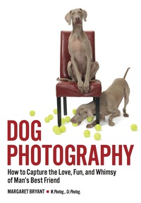 Cover image: Dog Photography 9781682031728