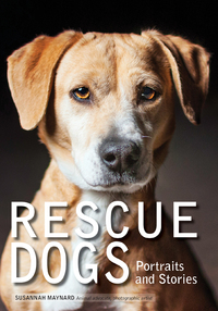 Cover image: Rescue Dogs 9781682032985