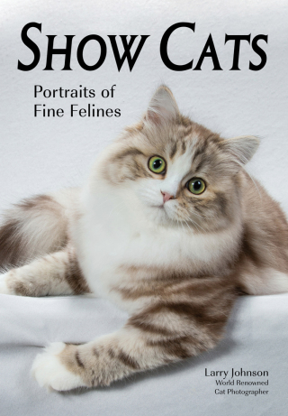 Titelbild: Show Cats 9781682033104