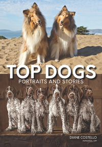 Cover image: Top Dogs 9781682033203