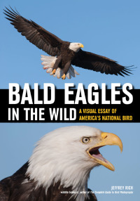 صورة الغلاف: Bald Eagles In The Wild 9781682033289