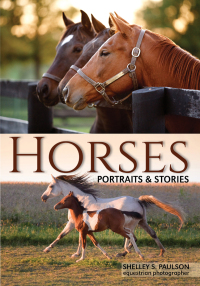 Imagen de portada: Horses 9781682033302