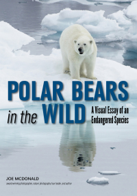 Imagen de portada: Polar Bears In The Wild 9781682033364