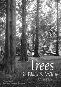 Cover image: Trees in Black & White 9781682033500