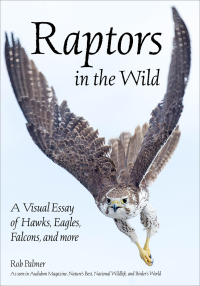 Cover image: Raptors in the Wild 9781682033623