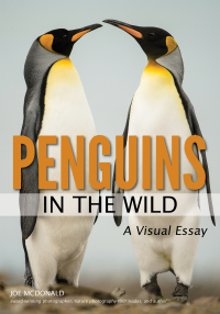 表紙画像: Penguins in the Wild 9781682033722