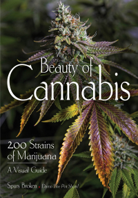 Cover image: Beauty of Cannabis 9781682033869