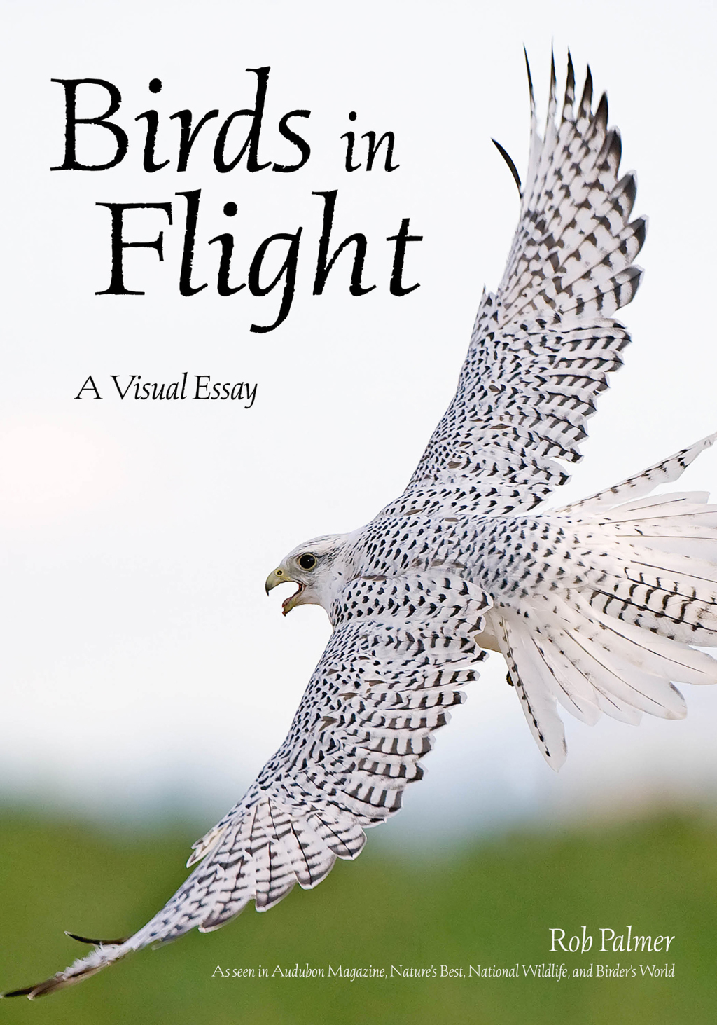 Birds in Flight A Photographic Essay of Hawks, Ducks, Eagles, Owls, Hummingbirds, & More