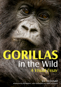 Cover image: Gorillas in the Wild