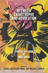 Cover image: Between Catastrophe and Revolution 9781682192771