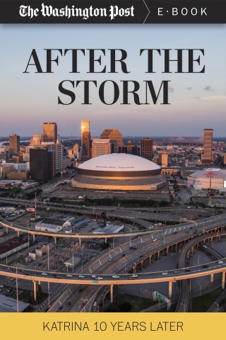 Immagine di copertina: After the Storm 9781682301340