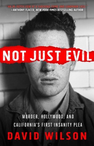 Cover image: Not Just Evil 9781682303269