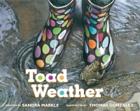 Cover image: Toad Weather 9781561458189