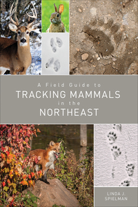 Imagen de portada: A Field Guide to Tracking Mammals in the Northeast 9781682680643