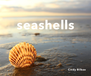 Cover image: Seashells 9781682682791