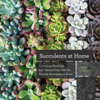 Immagine di copertina: Succulents at Home: Choosing, Growing, and Decorating with the Easiest Houseplants Ever 9781682683842