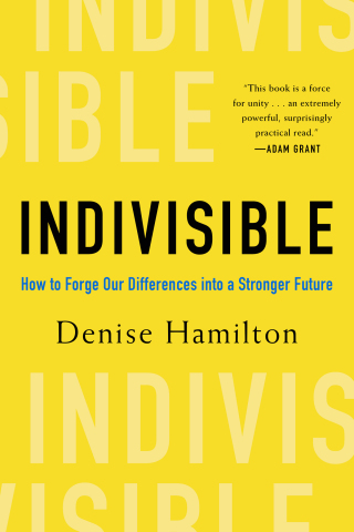 صورة الغلاف: Indivisible: How to Forge Our Differences into a Stronger Future 1st edition 9781682688380