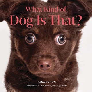 Cover image: What Kind of Dog Is That? 1st edition 9781682689646