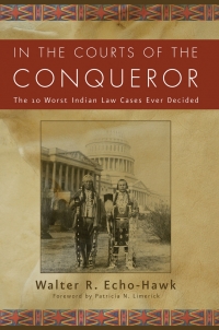 صورة الغلاف: In the Courts of the Conquerer 1st edition 9781555913847