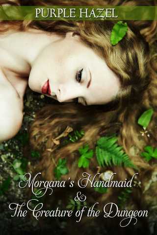Cover image: Morgana's Handmaid and the Creature of the Dungeon
