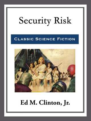 Cover image: Security Risk 9781463800048.0