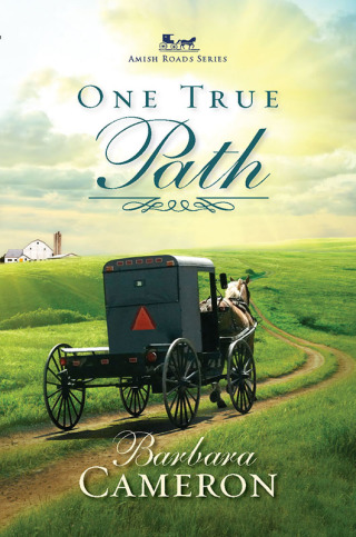 Cover image: One True Path 9781630889234