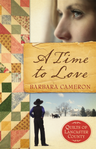 Cover image: A Time To Love 9781426707636