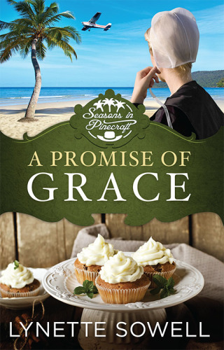 Cover image: A Promise of Grace 9781426753701