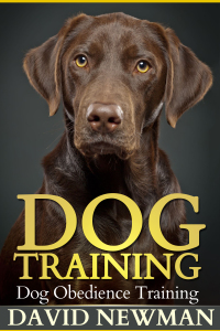 Titelbild: Dog Training