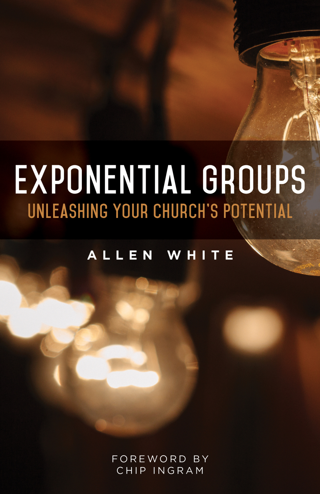 Exponential Groups (eBook)