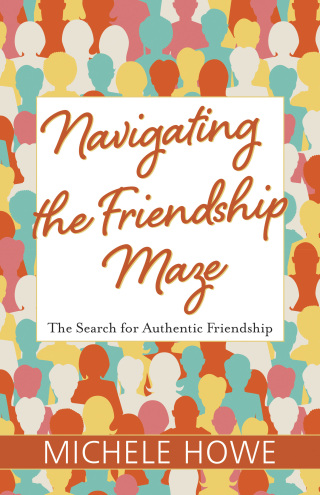Cover image: Navigating the Friendship Maze 9781683071389