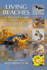 Cover image: Living Beaches of the Gulf Coast 9781683340560