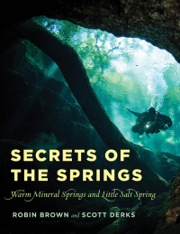 Imagen de portada: Secrets of the Springs 9781683340713