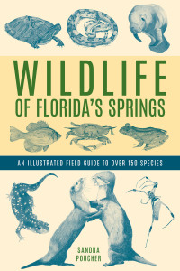 Omslagafbeelding: Wildlife of Florida's Springs 9781683343134