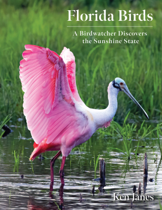 Cover image: Florida Birds 9781683343448