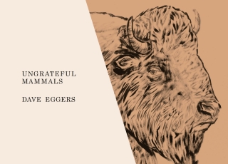 Cover image: Ungrateful Mammals 9781419724633