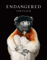 Immagine di copertina: Endangered 9781419726514