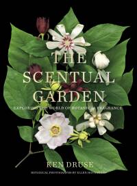 Cover image: The Scentual Garden 9781419738166