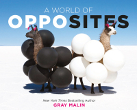 Cover image: A World of Opposites 9781419739705