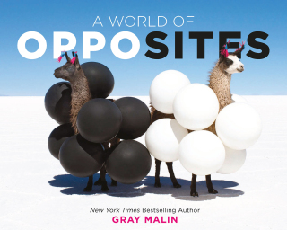 Titelbild: A World of Opposites 9781419739705